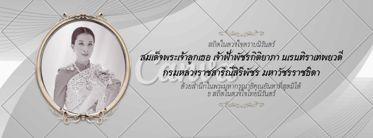 Offer Slider
